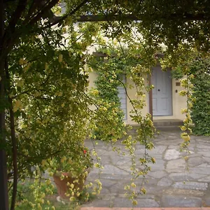 Il Pezzatino Rufina